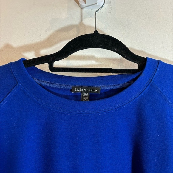 EILEEN FISHER Sz L Boxy Thick Jersey Knit Long Sleeve Crew Neck Top Sweatshirt - Picture 2 of 9